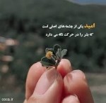 درود، صبح بخیر با ما همراه باشید با جدیدترین اخبار لحظهای 22 آذرماه 1401.