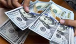 سایه سنگین بازار متشکل ارزی بر سر دلالان