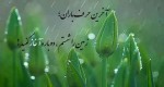 بارانی باید تا که رنگین کمانی بر آید