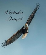 شجاعت.