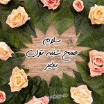 درود، با ما همراه باشید با جدیدترین اخبار لحظه‌ای 28 مردادماه 1402