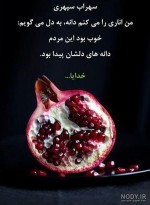 حتی طولانی ترین شب نیز به خورشید می رسد.