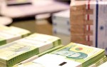مهار موج مکزیکی قیمتها