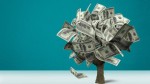 شروع معاملات با نرخ 47 هزار و 150 تومان در بازار رسمی 22 خردادماه 1402.