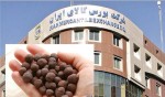 بورس تیرآهن رقابت 33% و بورس آهن اسفنجی با رقابت 30% به اتمام رسید.